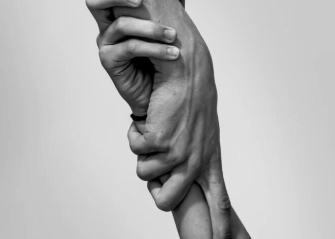 Soulbound Brotherhood: Fated Bonds Beyond Blood 🤍 🗝️ 252