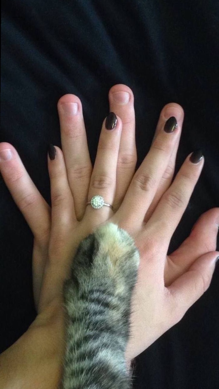 ☀️ Soulful Pet-Loving Couples: 25 Heartfelt Moments | vibe check passed 823