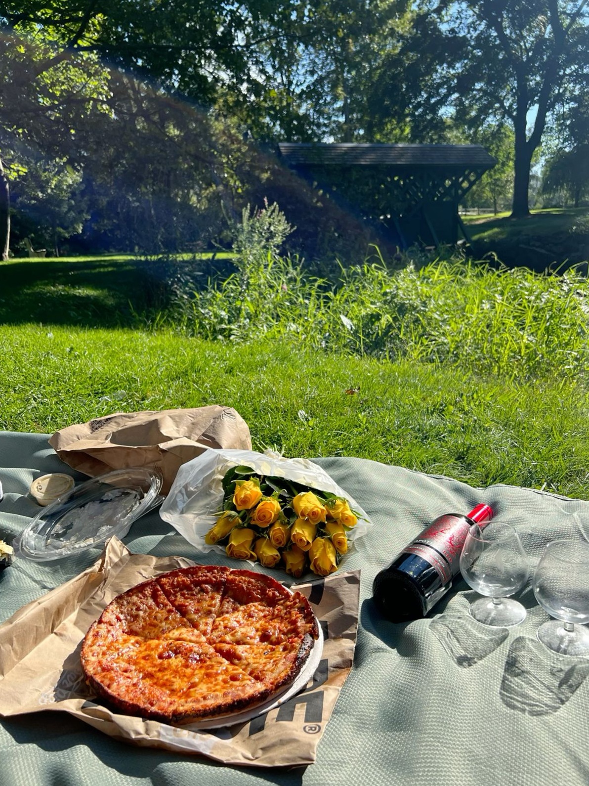 📸 🏙️ Soulful Picnic Under Blooming Skies 391