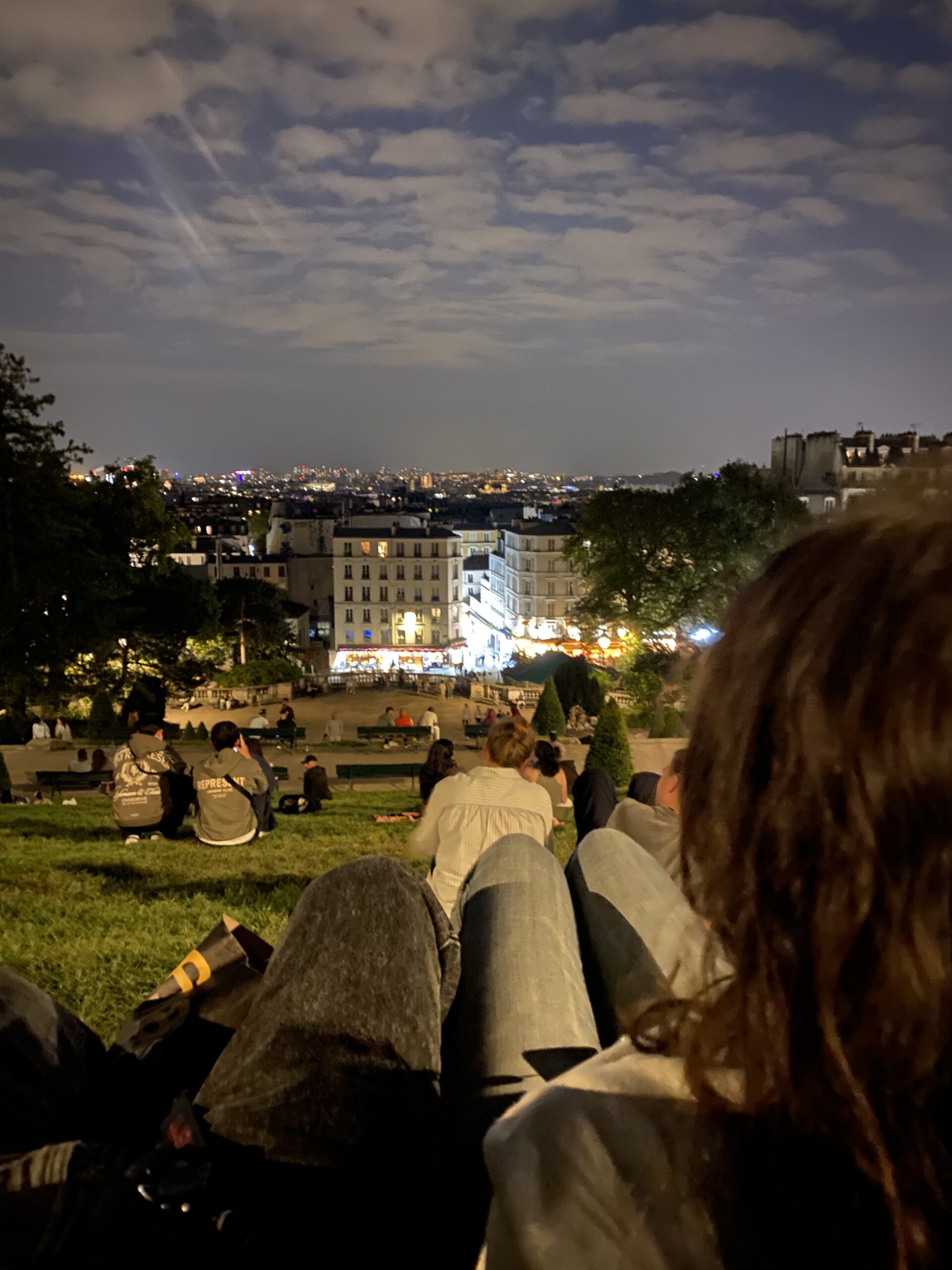 ⊹ Soulful Picnic: Where Serene Vibes Meet True Connection ⊹ 📝 ⚖️ 267