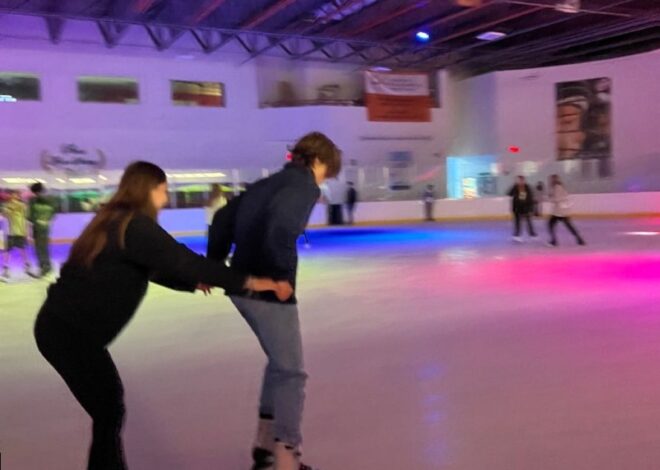 ☀️ 🌊 ✦ Soulful Skates: Find Your Frost-Kissed Match 852