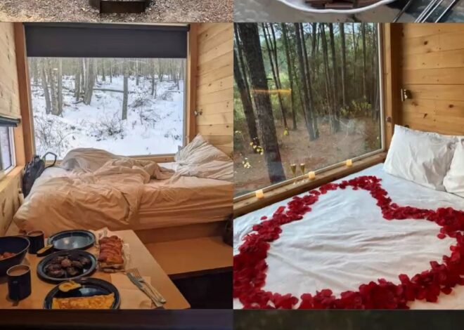 🧠 🧠 📝 ✦ Written in the Pines: A Couple’s Fated Retreat 196