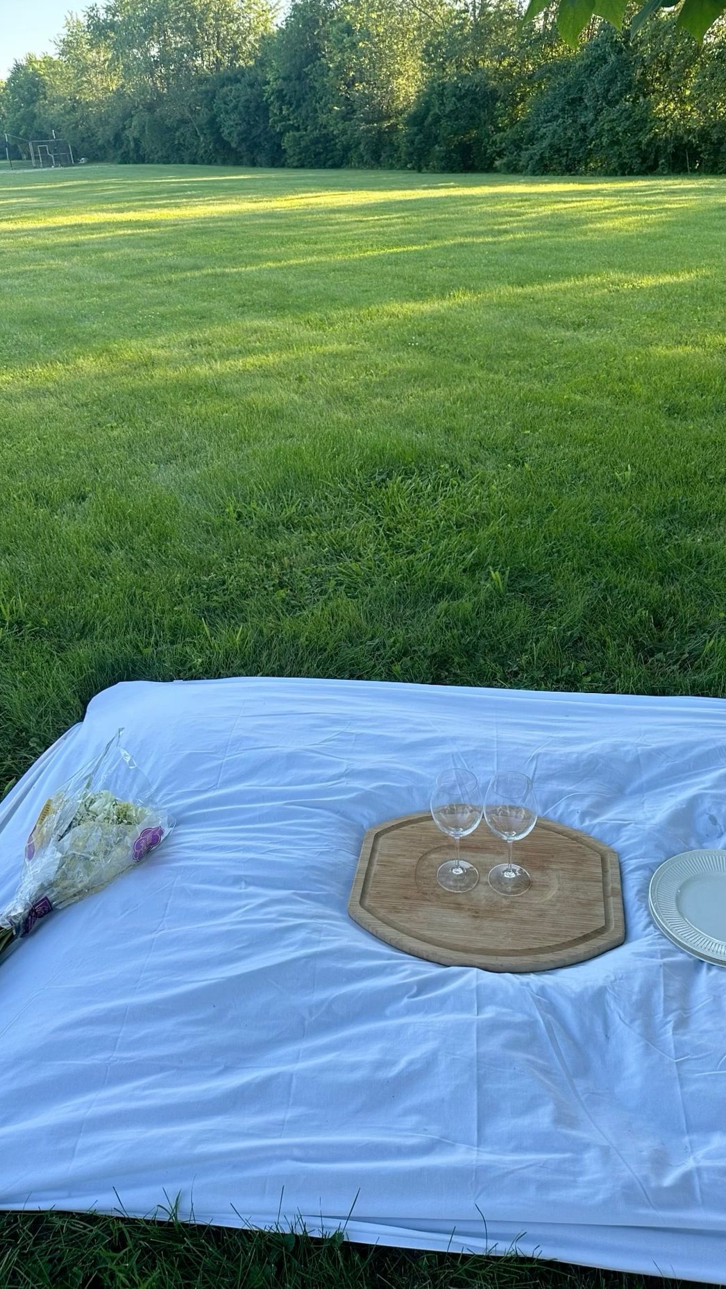 🎻 🥂 💋 daily aesthetic advice ✦ Serene Picnic Vibes for Soulful Connections 657