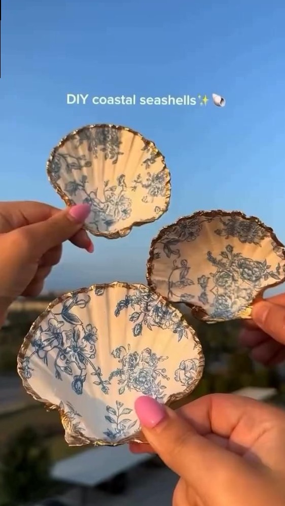 ✦ daily aesthetic advice ✦ Soulful Seashell Creations for Summer Connections 🧭 ⚖ 272