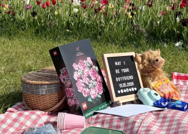 ✦ date night aesthetic ✦ Destiny Under the Sun: A Picnic Moment of Heartfelt Con 475