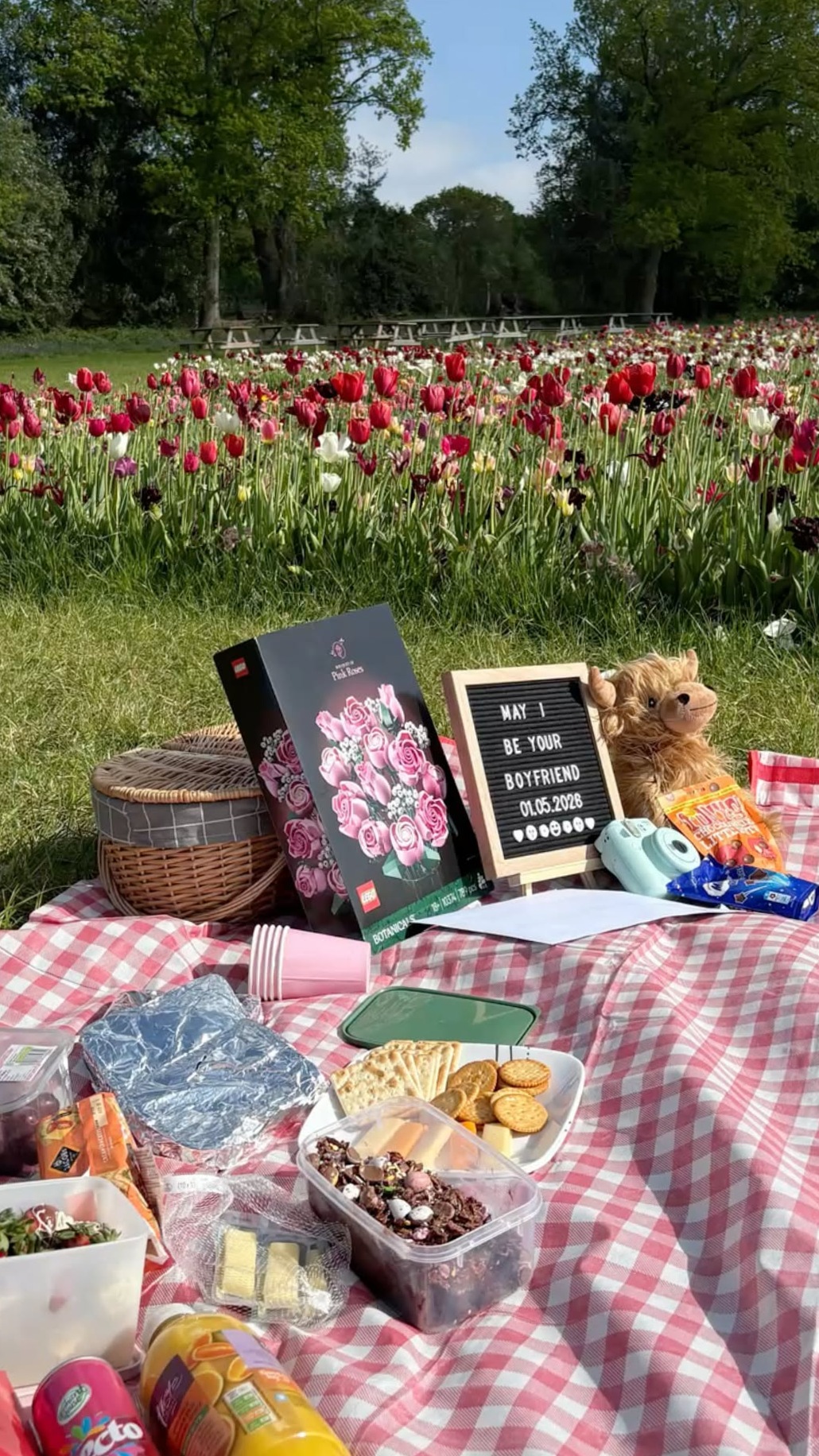 ✦ date night aesthetic ✦ Destiny Under the Sun: A Picnic Moment of Heartfelt Con 475