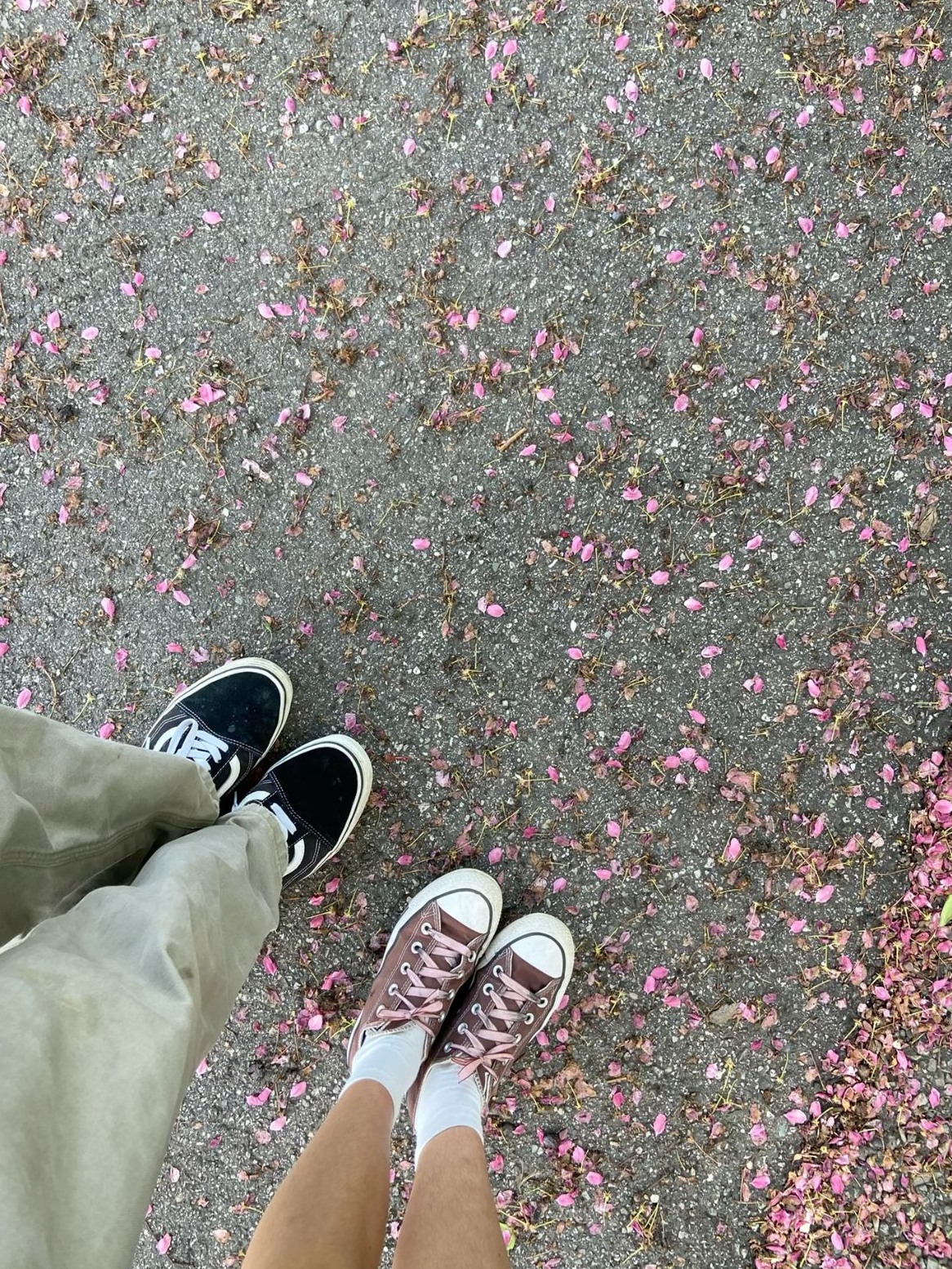 Fate-Driven Vibes: Finding Your Perfect Soulmate Match 🕯️ 🥂 837