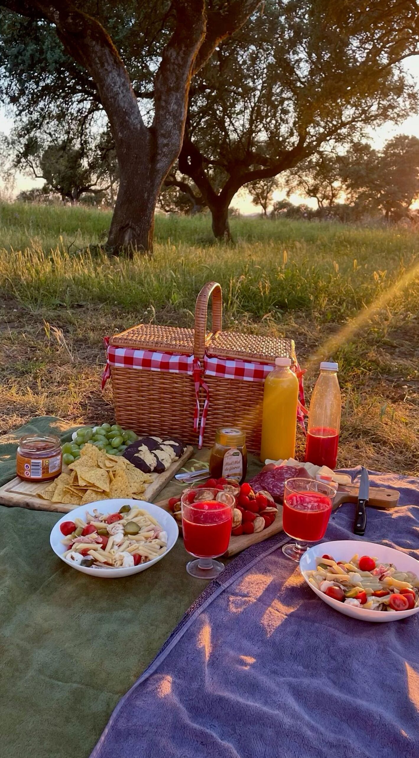 Fated Picnic Under Endless Skies — 👁️ 🌧️ 105