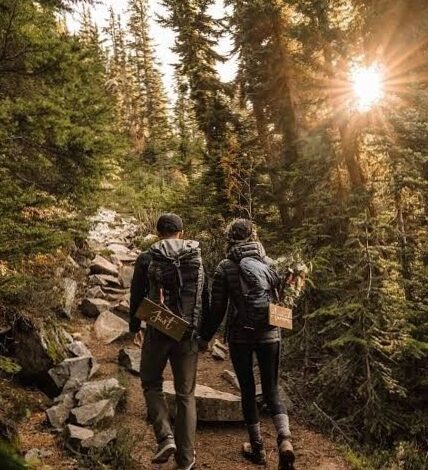 📚 | Fjord Serenades: A Weekend of Quiet Discovery and Fated Paths | art of moder 495