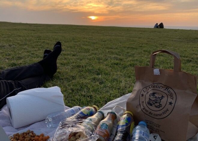 ✦ heart-to-heart energy ✦ Soul-Align Picnic: Where Vibe Matches Meet Serene Mome 690
