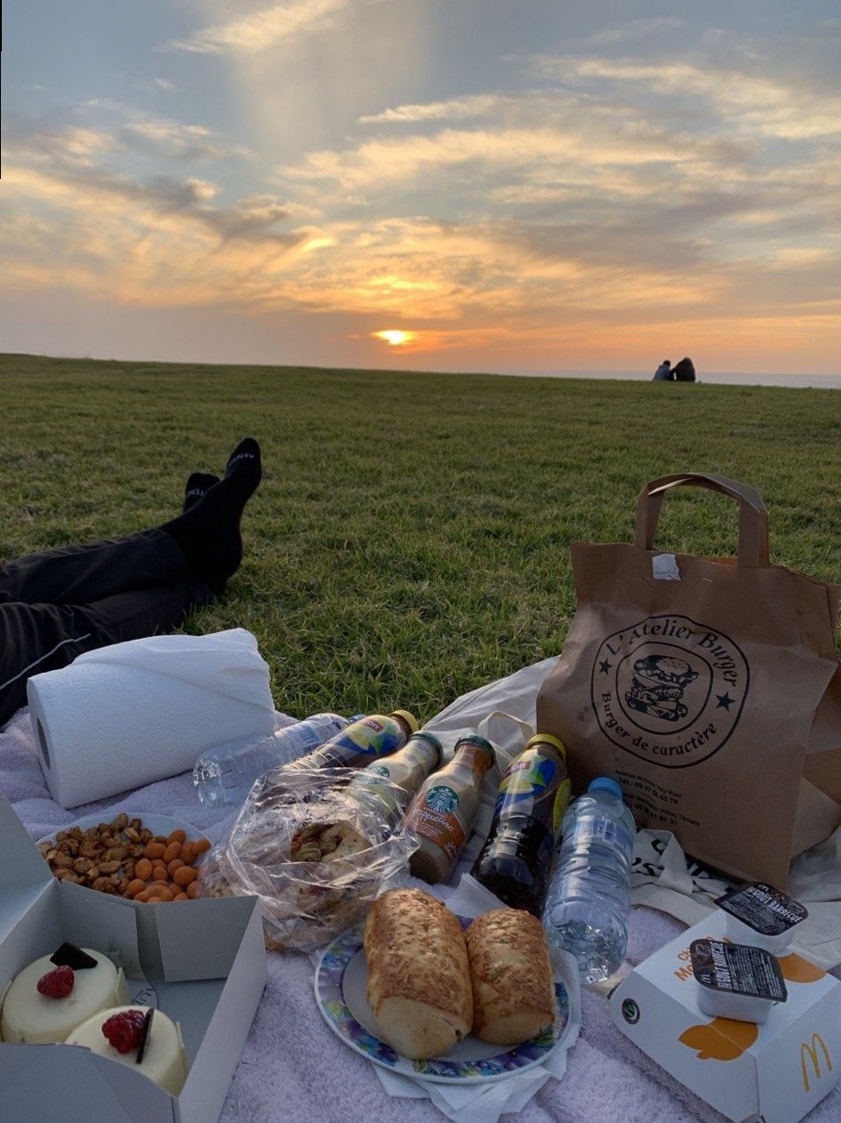 ✦ heart-to-heart energy ✦ Soul-Align Picnic: Where Vibe Matches Meet Serene Mome 690