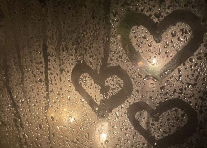 hopeless romantic mood ✧ Finding Your Soul’s Perfect Harmony in Dark Romance 🏙️ 844