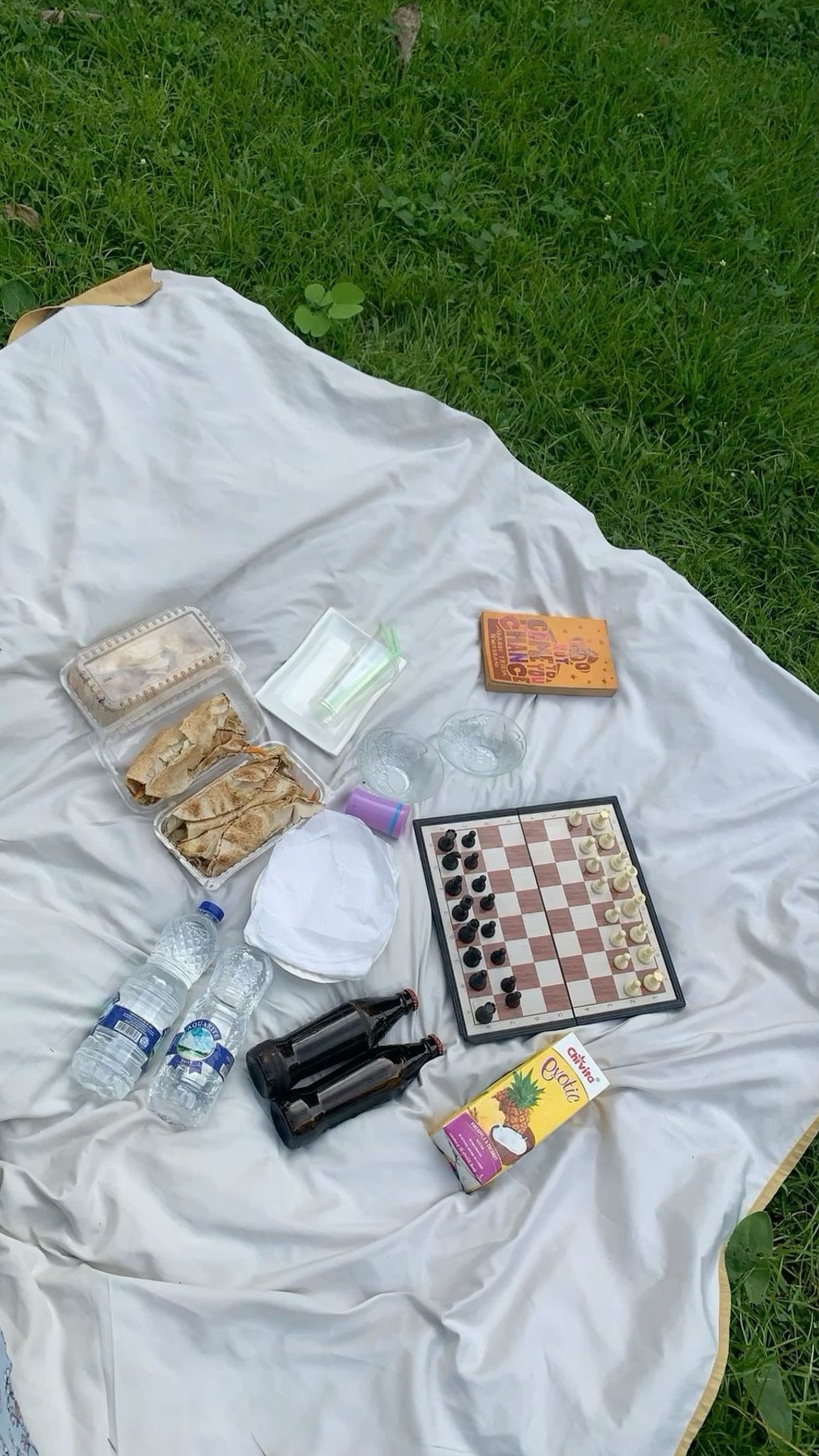 modern romance inspiration: Fate-Forged Picnic: Where Hearts Align Under Open Sk 564