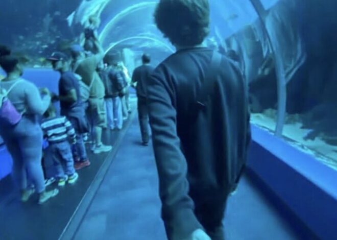🌌 🦋 🗝️ modern romance inspiration ✦ Underwater Harmony: Souls Aligned in Silent  484