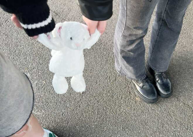 🧠 🧘‍♀️ mysterious soulmate energy ✦ Fate-Linked Softness: Jellycat Baby & Soulfu 982