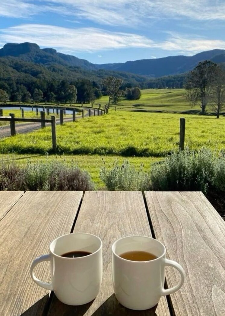 Soulful Sips Amid Serene Peaks | 📝 📝 vibe check passed 188