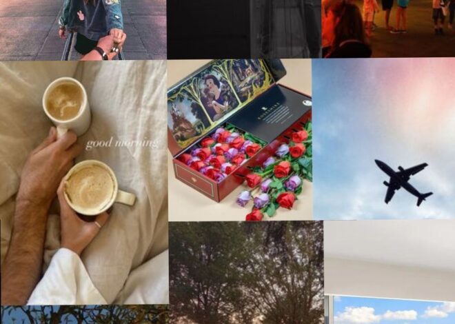 ⊹ Soulful Visions: Crafting Deeps Bonds Through Shared Aesthetics ⊹ 📝 💡 746